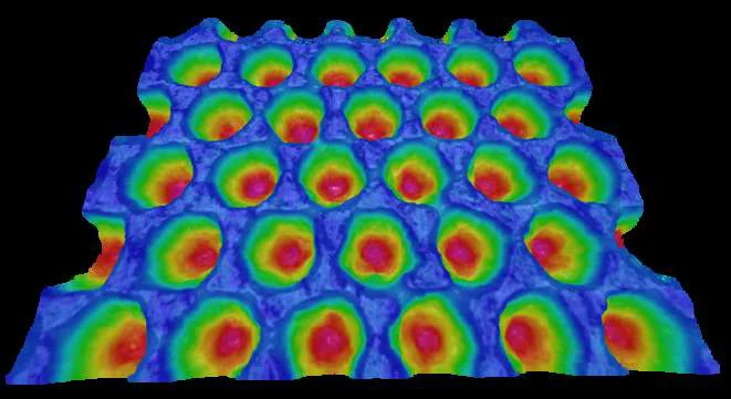 3Dスキャンでセルの深度・容積・汚れ残りを可視化